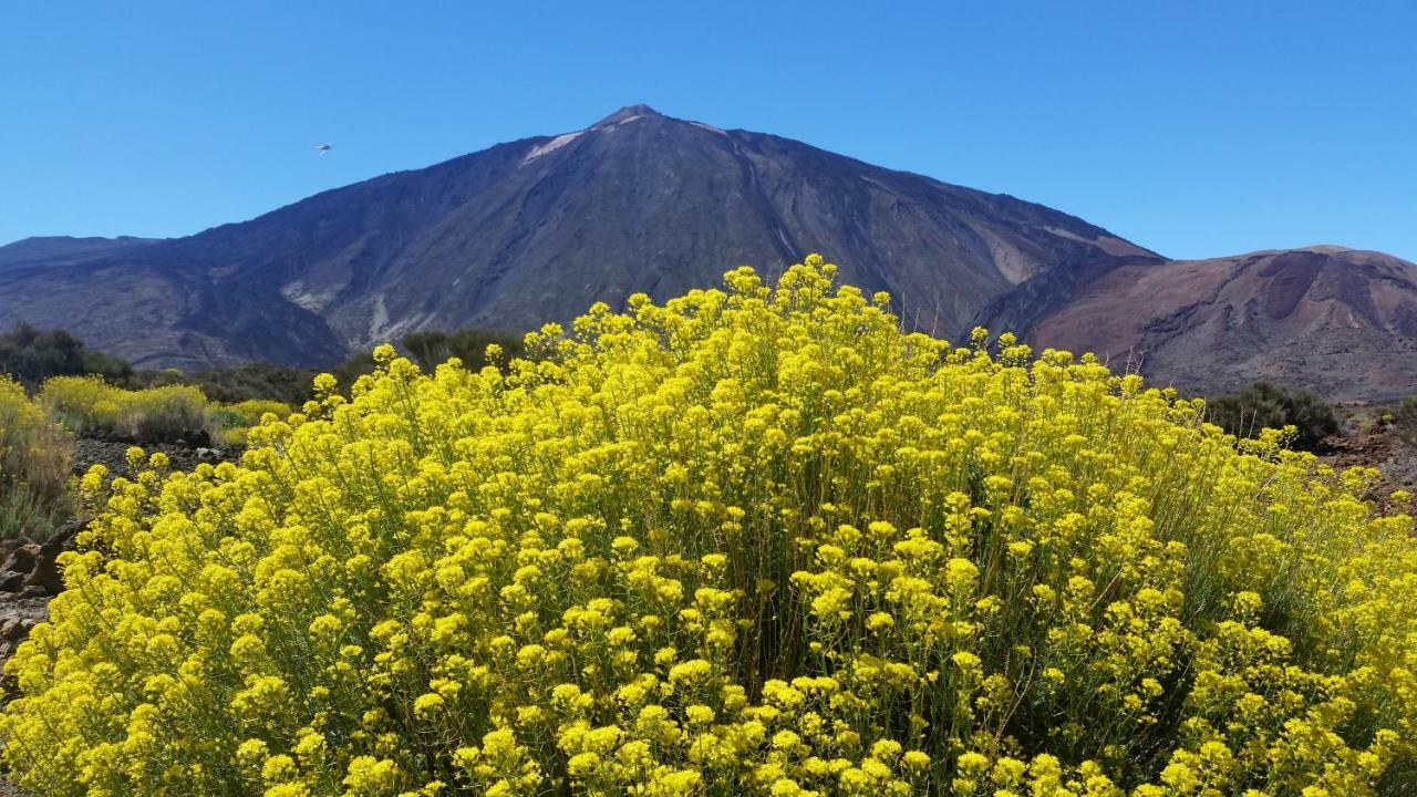 Sissi Boutique - The Terrace Between Ocean And Teide Santa Úrsula Εξωτερικό φωτογραφία