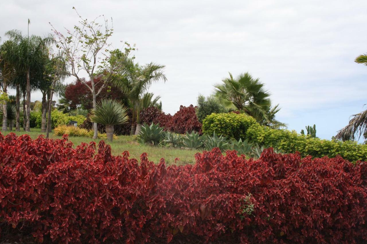 Sissi Boutique - The Terrace Between Ocean And Teide Santa Úrsula Εξωτερικό φωτογραφία
